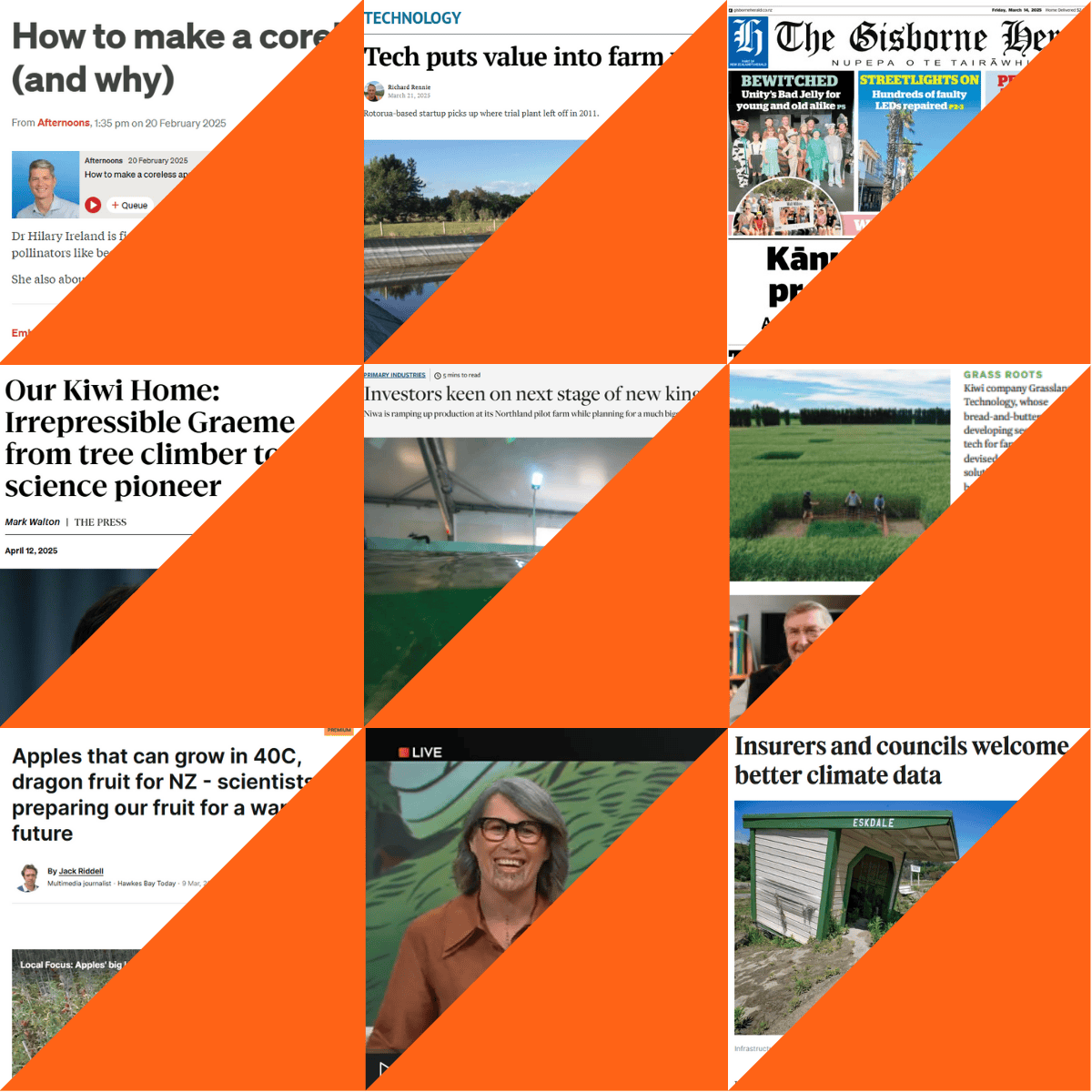 9 headlines for the Science New Zealand Awards 2025